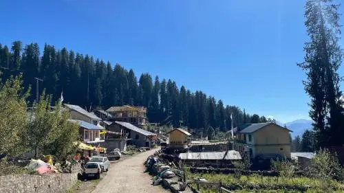 The Kullu Valley road through cedar forests and terraced villages, Himachal Pradesh